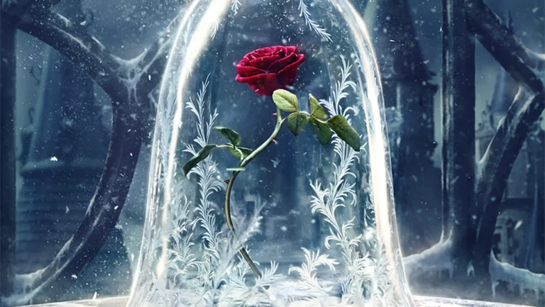 What Is The Significance Of The Magic Rose In Beauty And The Beast?