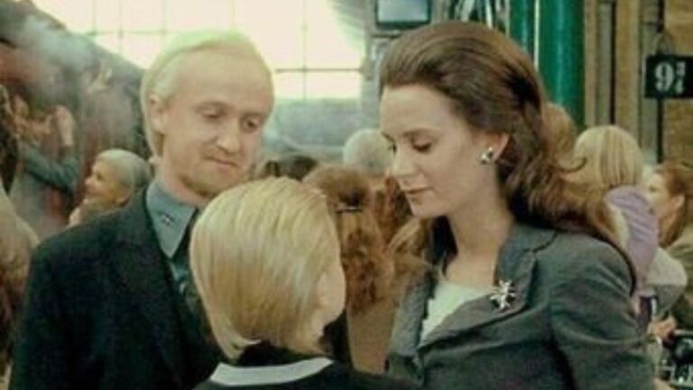 Harry Potter: Draco Malfoy’s Life Partner