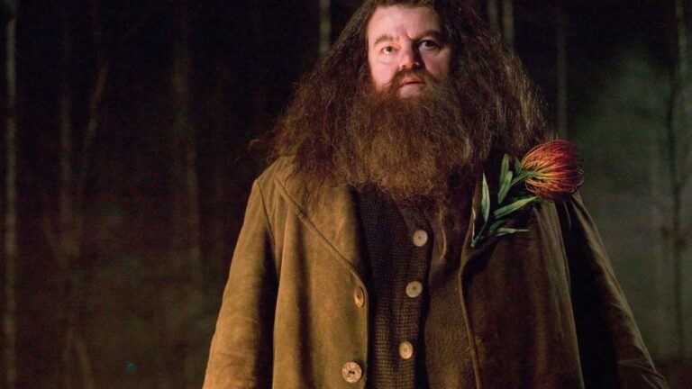 Harry Potter: The Stature of Hagrid in the Wizarding World