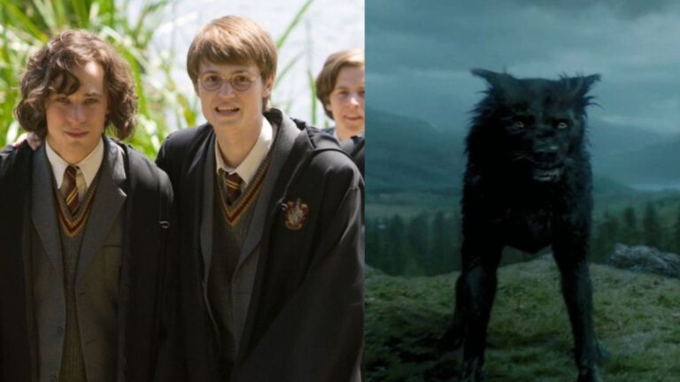 Harry Potter: Uncovering the Identity of Padfoot