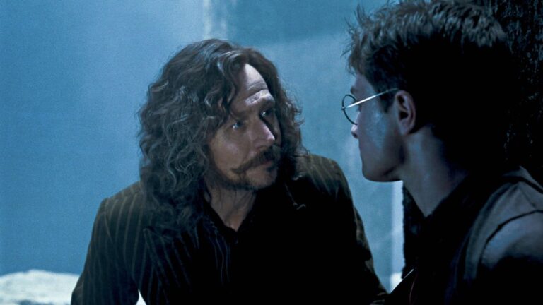 Harry Potter: The Demise of Sirius Black