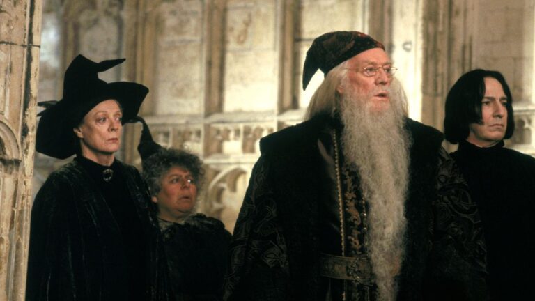 10 Hogwarts Professors Ranked by Wisdom: Harry Potter’s Educators