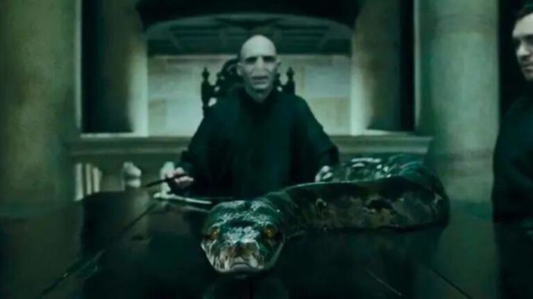 Harry Potter: Voldemort’s Acquisition of Nagini