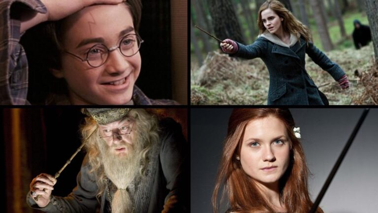 Harry Potter: 10 Most Famous Gryffindor Characters